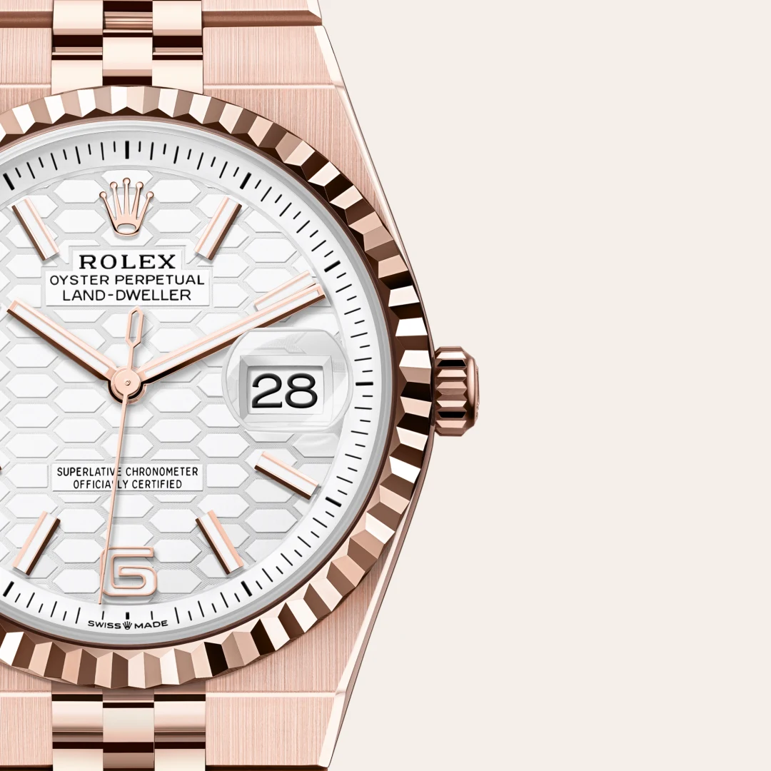 Rolex Land-Dweller 36 in 18 Karat Everose-Gold, M127235-0001 – Atelier Stoess